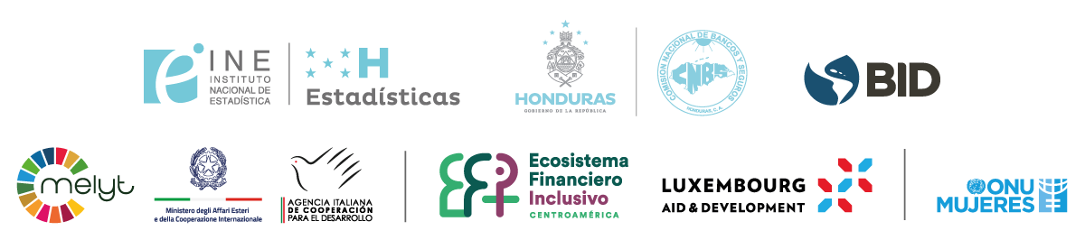 Logos de instituciones cooperantes: CNBS, INE, ONU Mujeres, BID